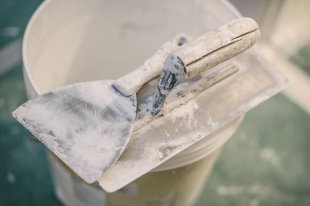 Best Emergency Mold Remediation  in Wilmington Manor, DE